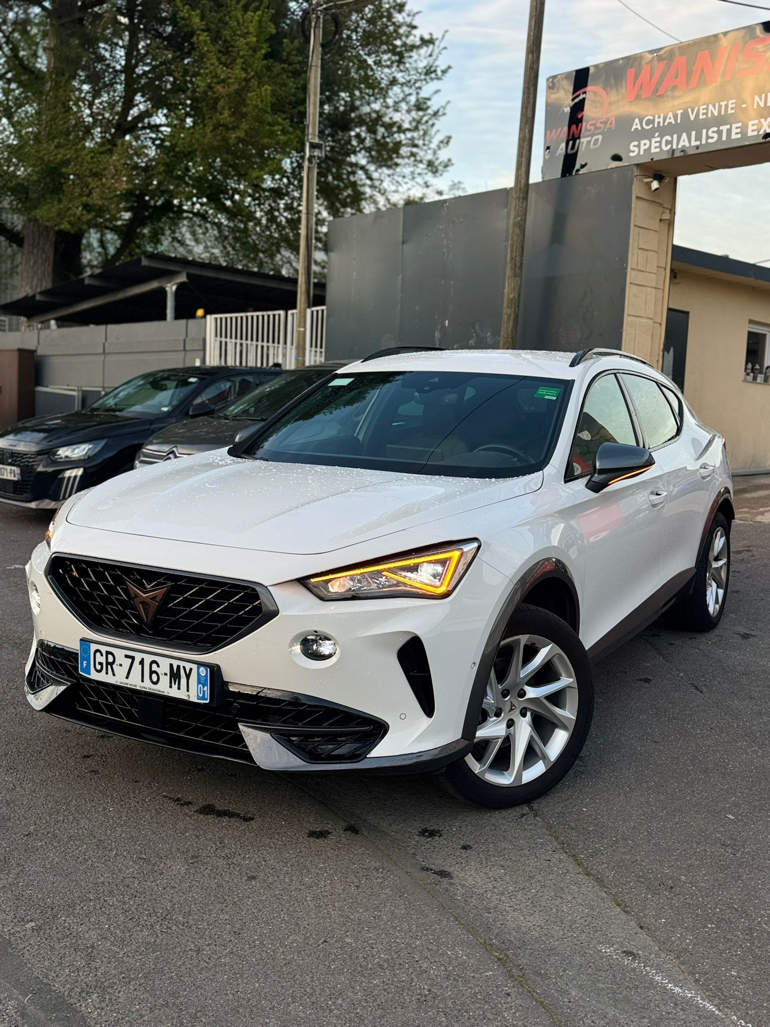 Cupra Formentor  BUSINESS