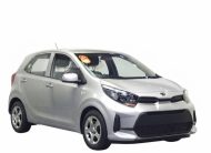 KIA PICANTO ACTIVE BUSINESS